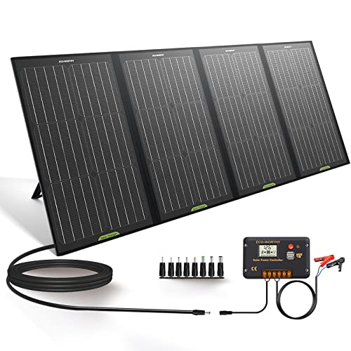 ECO-WORTHY Kit de Panel Solar Portátil Plegable de 120W para Estación de Energía, RV, Batería, Salida de CC del Generador Solar con Controlador 20A