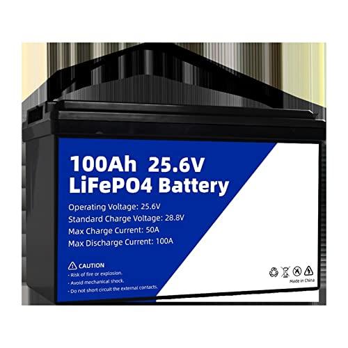 bateria Litio 12V 24V 100Ah 200AH LiFePo4 batería Litio Hierro fosfato LFP batería Recargable Bulit-in BMS for RV EV Vans Barco (Color : 24V 100Ah-1PCS)