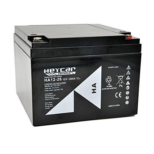 HEYCAR - Batería de Plomo AGM para aplicaciones estacionarias. 12V / 26Ah. Capacidad de descarga 360 A 7,5 Kg. 166 x 175 x 125 mm