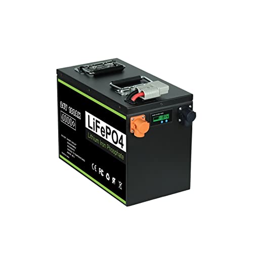 ISITAC Batería Lifepo4 Paquete de batería LiFePo4 de 12V, 24V, 48V, 100Ah, 200Ah, 280Ah, 400Ah, batería de Hierro de Litio BMS integrada for Barco Solar (Color : 24v 100Ah)